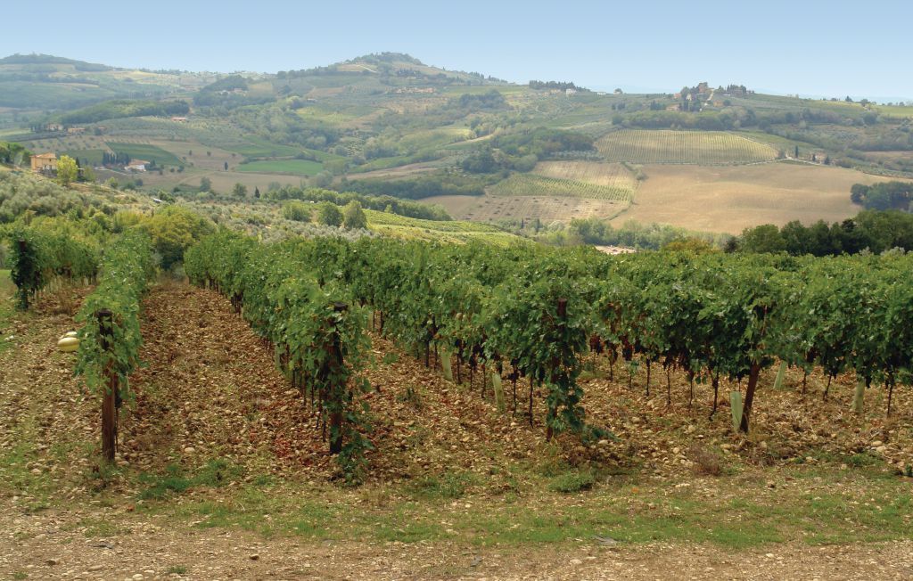 Querce, maison mitoyenne Chianti avec piscine - Photo 21