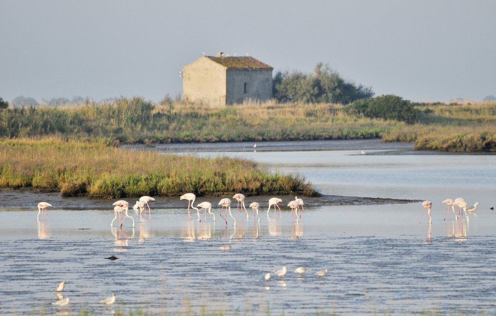 Maison mitoyenne avec piscine au cœur du Delta du Pô - Photo 28