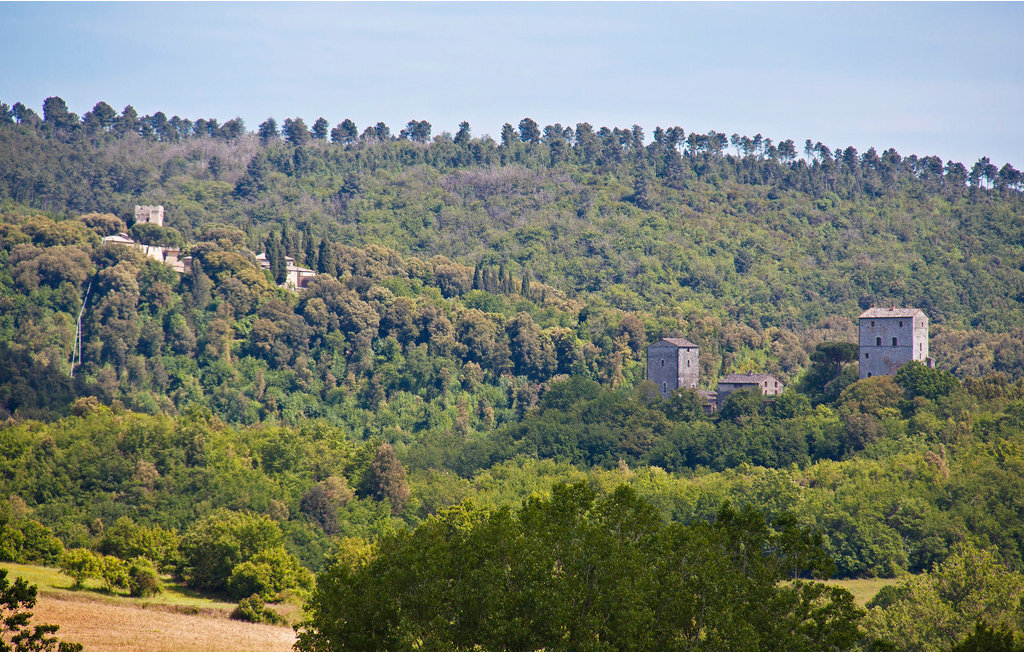 Calistemo, ancienne grange en Chianti avec piscine - Photo 24