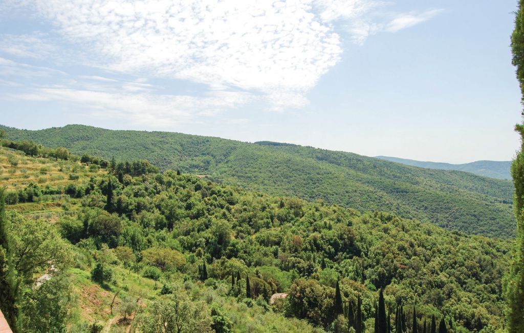Borgo Elisa, maison 14 pers. avec piscine près de Cortona - Photo 15