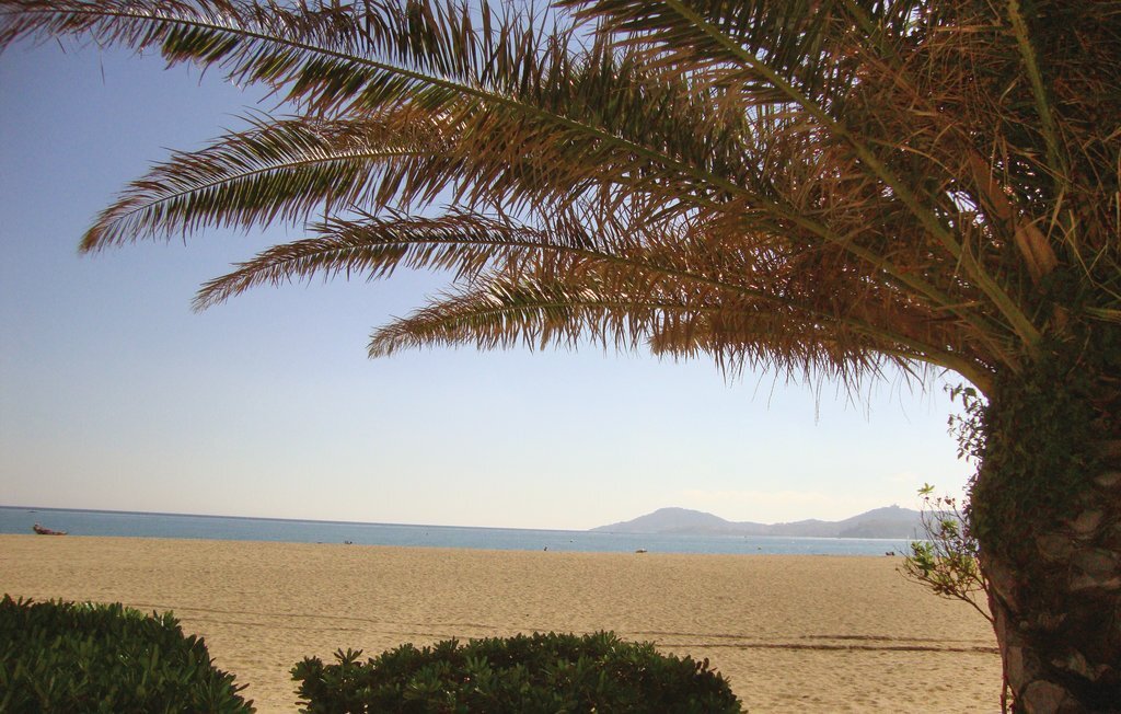 Appartement 1 chambre à 200m de la plage, Argelès-sur-Mer - Photo 19
