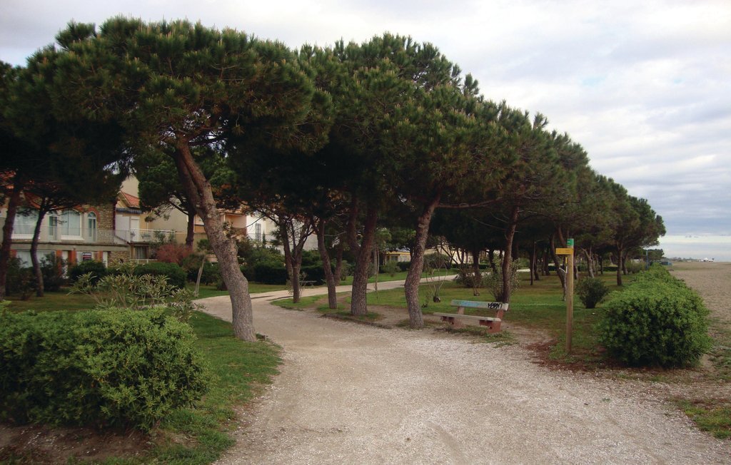 Appartement 1 chambre à 200m de la plage, Argelès-sur-Mer - Photo 21