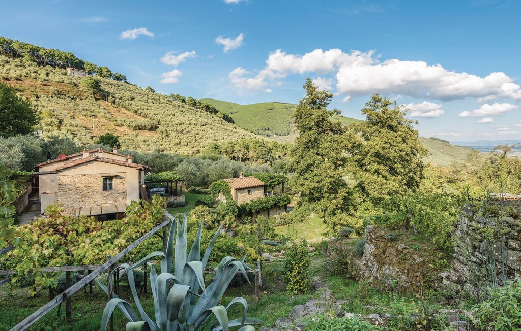 L'Olivo – Maison 8 pers. avec piscine privée à Buti - Photo 31