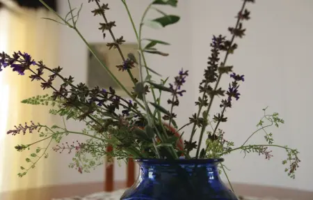 Maison 8 personnes à Krvavici - Photo 25
