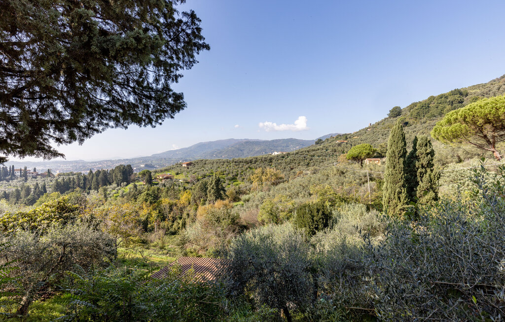 Maison 7 pers. avec piscine vue vallée à Uzzano - Photo 19