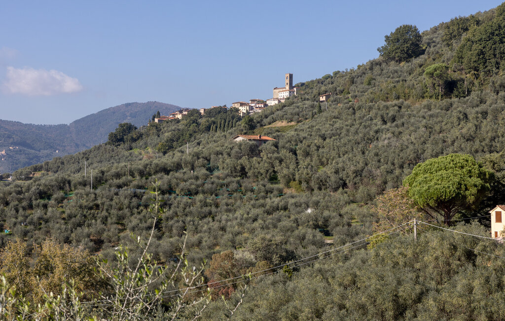 Maison 7 pers. avec piscine vue vallée à Uzzano - Photo 20