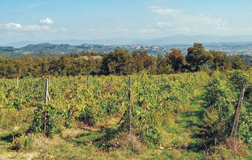 Maison plain-pied Trequanda, vignobles et piscine partagée - Photo 23