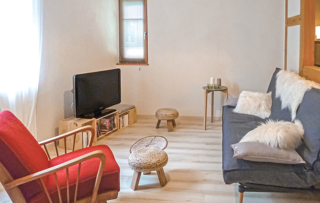 Appartement Renaissance 49m² à Molsheim, rénové écologique - Photo 3