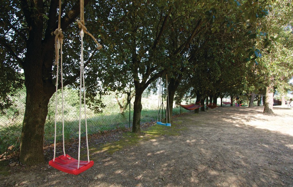 Il Molino - Casale Il Picchio, maison vignoble 8 pers. - Photo 5
