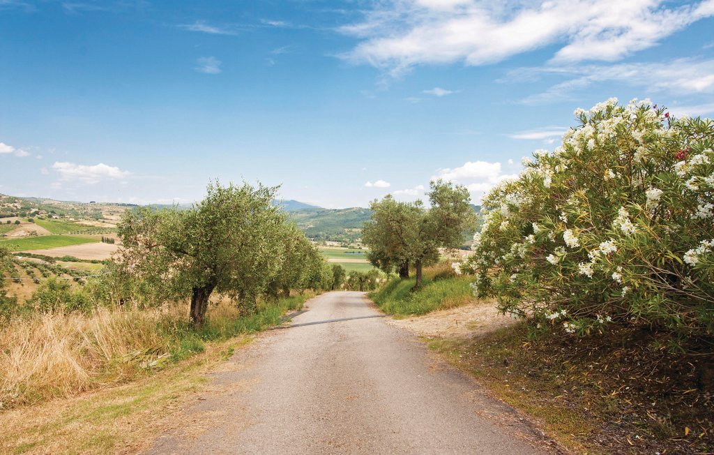 Il Molino - Casale Il Picchio, maison vignoble 8 pers. - Photo 27