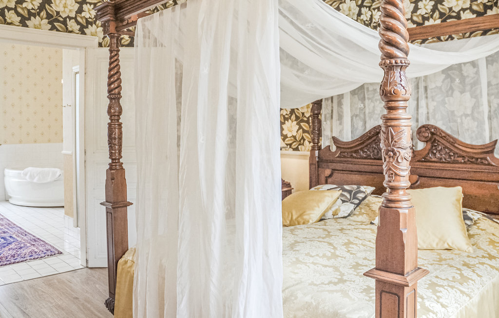 Château de Villejovet : maison 20 personnes, Ardentes - Photo 20