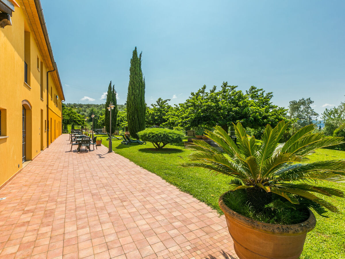 Il Casale – Gîte 2 chambres avec piscine à Vinci - Photo 20