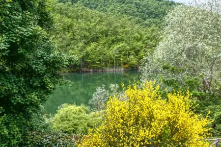 Casa Niccone, Gîte en Ombrie avec piscine - Photo 37