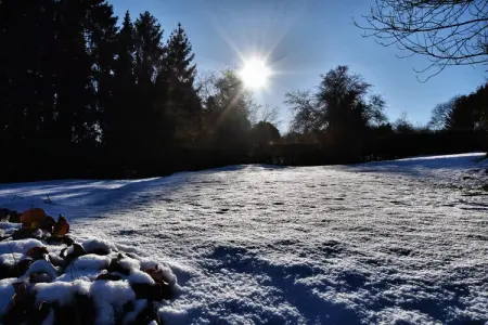 Gîte Castarière : 26 pers., jardin clos et jeux : photo 39