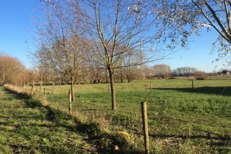 Maison 4 chambres près de l'Escaut à Sint-Amands : photo 39