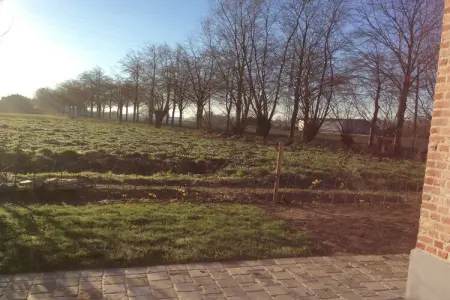 Maison 4 chambres près de l'Escaut à Sint-Amands : photo 40