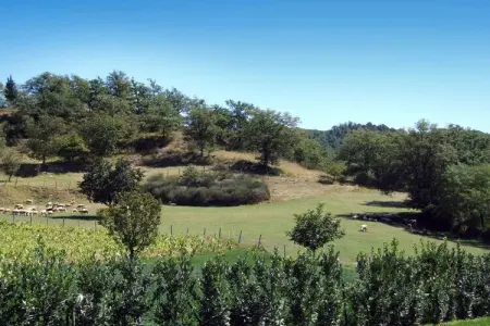 Gallorimpi, Spectaculaire maison de vacances à Dicomano avec piscine - Photo 27
