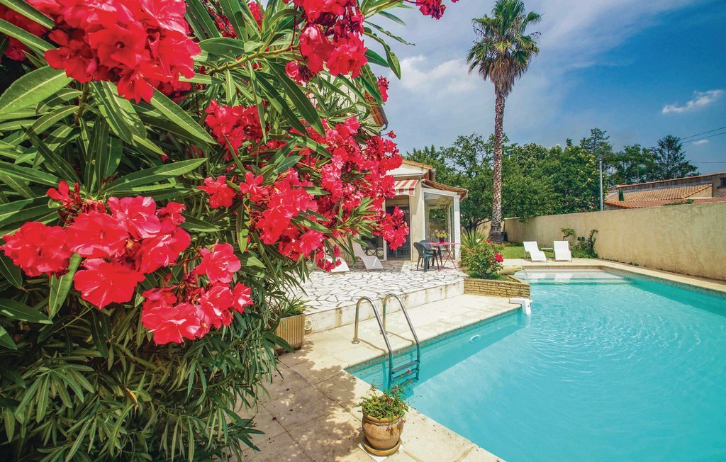 Maison 4 chambres avec piscine à Milhaud - Photo 15