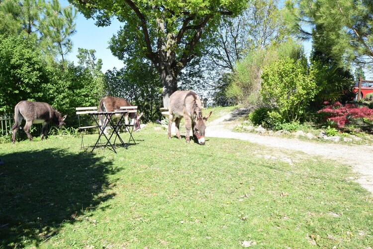 Gîte 4 pers. avec piscine à Pont-de-Barret - Photo 28