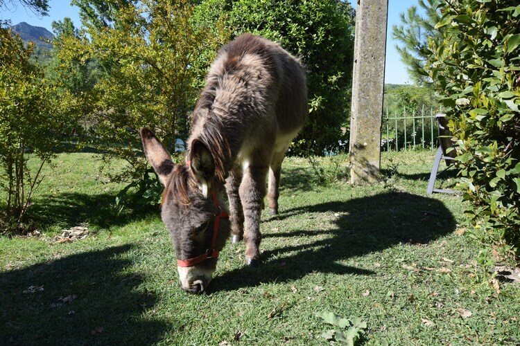 Gîte 4 pers. avec piscine à Pont-de-Barret - Photo 29