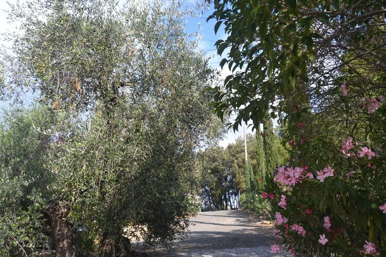 Maison Lidia à Castagneto Carducci, 8 km de la mer - Photo 26