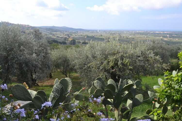Maison Lidia à Castagneto Carducci, 8 km de la mer - Photo 29