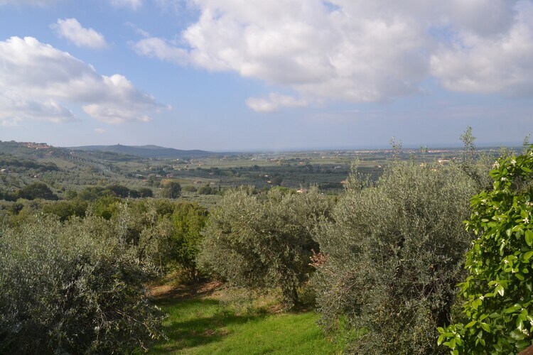 Maison Lidia à Castagneto Carducci, 8 km de la mer - Photo 30