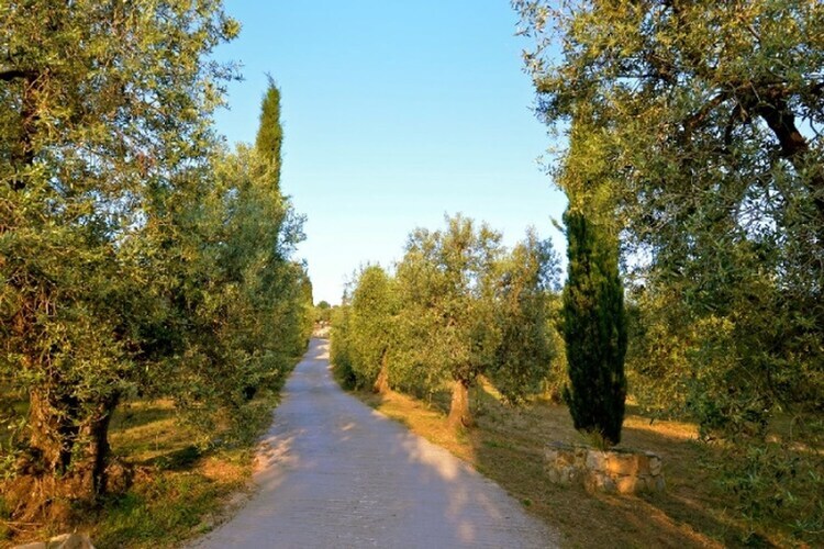 Maison Lidia à Castagneto Carducci, 8 km de la mer - Photo 34