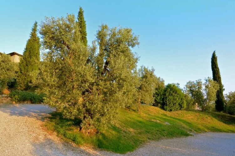 Maison Lidia à Castagneto Carducci, 8 km de la mer - Photo 36