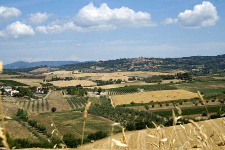Maison Lidia à Castagneto Carducci, 8 km de la mer - Photo 37