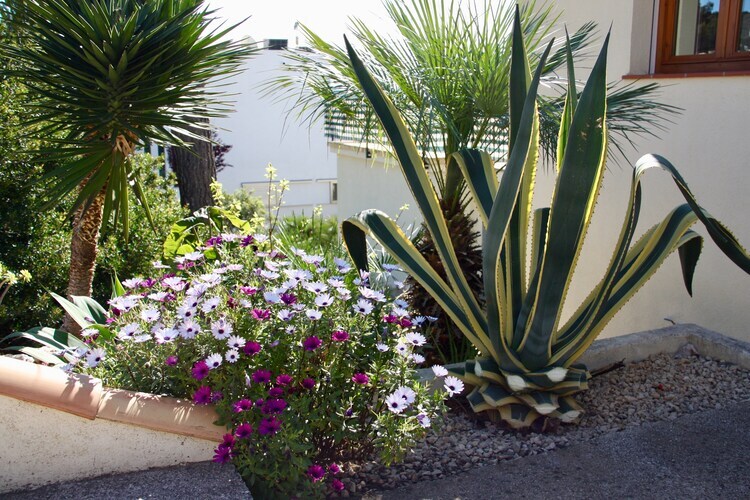 Villa Les Bassetes avec piscine privée à Adsubia - Photo 27