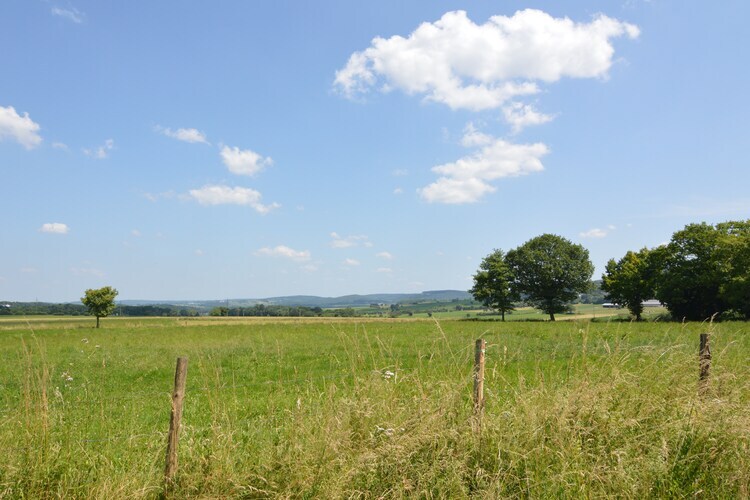 La Tannière : maison 9 personnes avec jardin et forêt - Photo 29