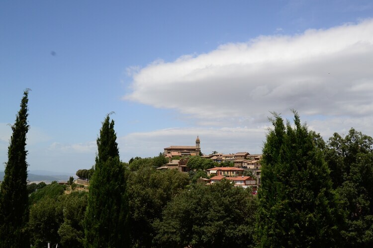 Sparsa Girasole – Maison 8 pers. piscine Cortona - Photo 15