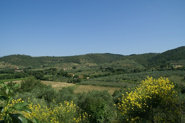 Sparsa Girasole – Maison 8 pers. piscine Cortona - Photo 21