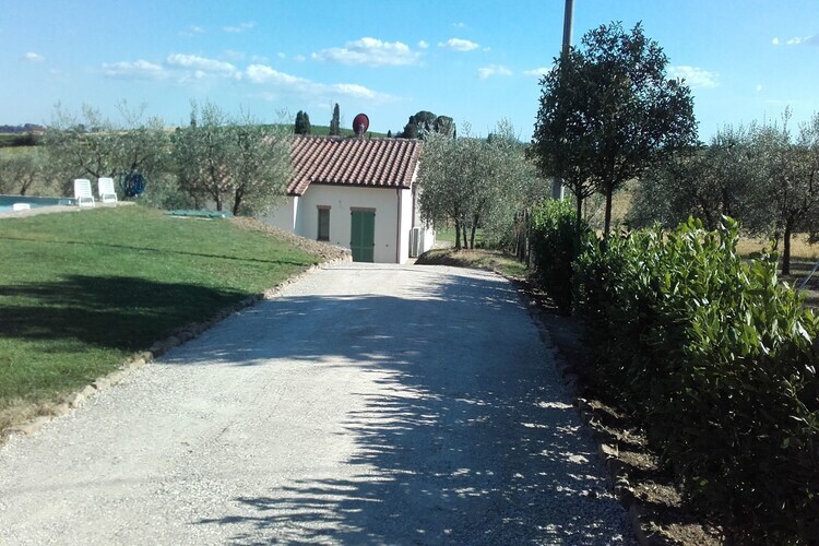 Sparsa Girasole – Maison 8 pers. piscine Cortona - Photo 25