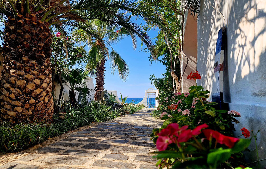 Villa Eugenia : maison 10m de la mer à Scilla - Photo 10