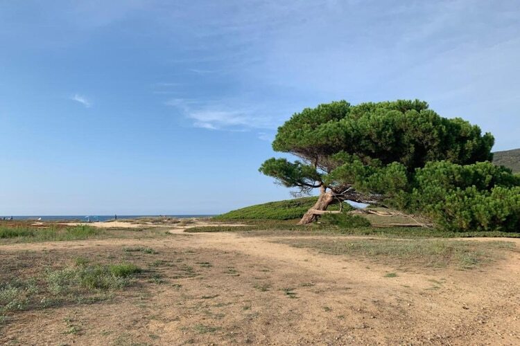 Maison 6 pers. Belgodère, piscine chauffée et plage Lozari - Photo 24