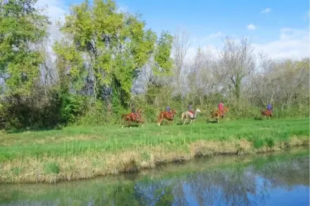 Résidence le Mas des Flamants 2, Maisonette à Aigues-Mortes près des flamants - Photo 13