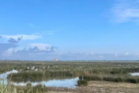 Résidence le Mas des Flamants 2, Maisonette à Aigues-Mortes près des flamants - Photo 18