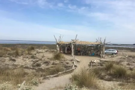 Résidence le Mas des Flamants 2, Maisonette à Aigues-Mortes près des flamants - Photo 28