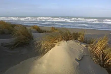 Maison 6 pers. au Crotoy, parc piétonnier en Baie de Somme : photo 30