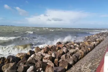 Maison 6 pers. au Crotoy, parc piétonnier en Baie de Somme : photo 32