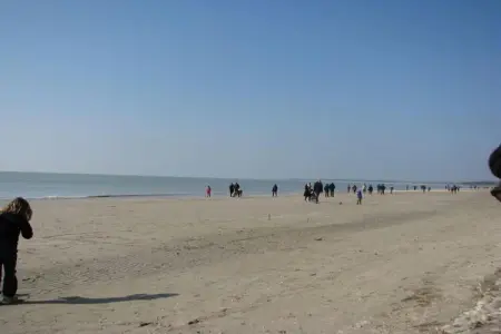 Maison 6 pers. au Crotoy, parc piétonnier en Baie de Somme : photo 34