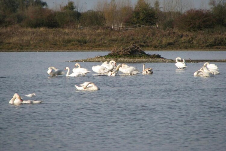Maison 8 pers. Baie de Somme, village de vacances au Crotoy - Photo 21