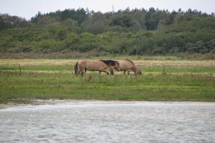 Maison 8 pers. Baie de Somme, village de vacances au Crotoy - Photo 40