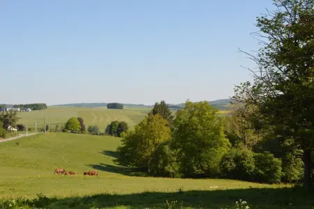 La Petite Buissonnière – Maison 12 pers. à Comblain-au-Pont : photo 21