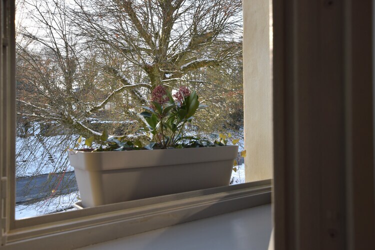 Le Tilleul – Maison 1 chambre à Chassepierre - Photo 28