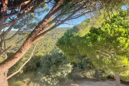 Villa Sant Andreu de Llavaneres, Villa élégante au bord de la côte - Photo 35