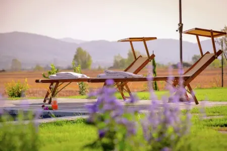 Nido, Villa à Cortona avec piscine et vue - Photo 34