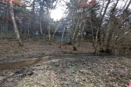 La Rotonde – Maison 11 pers. avec piscine privée : photo 40